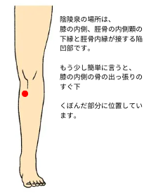 陰陵泉の場所の説明